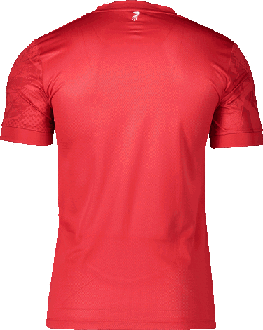 T-shirt Nike Dri-FIT SC Freiburg Prematch T-Shirt 2025/26 Rød | 6scffz9332-657, 1