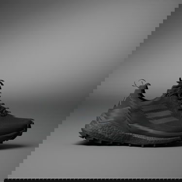 Sneakers og sko adidas Performance Terrex Free Hiker 2.0 Low GTX Sort | IE7657, 0