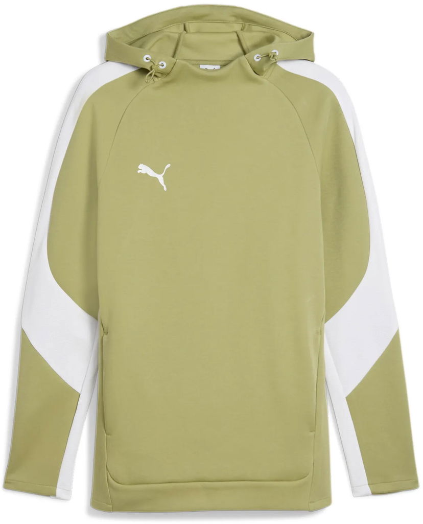 Sweatshirt Puma Puma teamEvostripe Hoodie Grøn | 659954-40