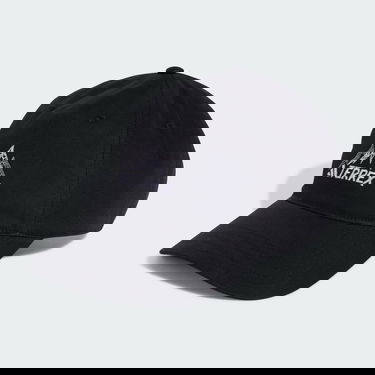 Kasket adidas Performance Terrex Multi Baseball Cap Sort | JJ1477, 3
