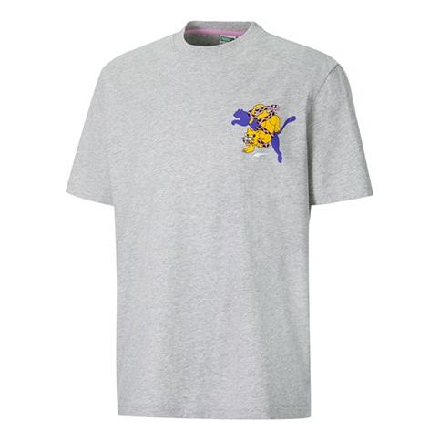 T-shirt Puma Aka Boku Graphic Print T-Shirt Grå | 530222-04