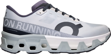 Sneakers og sko On Running Cloudmonster Hyper Grå | 3we10123205, 0