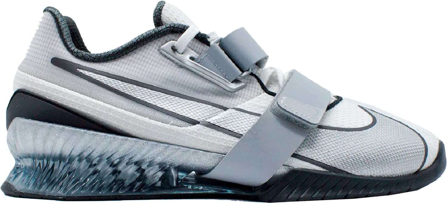 Sneakers og sko Nike ROMALEOS 4 SE Grå | fz8663-100, 0