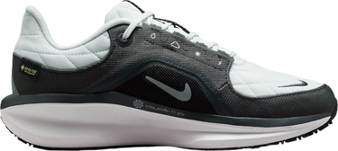 Sneakers og sko Nike Winflo 11 GORE-TEX Sort | fq1359-004, 2
