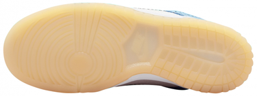 Sneakers og sko Nike Dunk Low GS "Nike 101" Flerfarvet | DX3363-100, 2