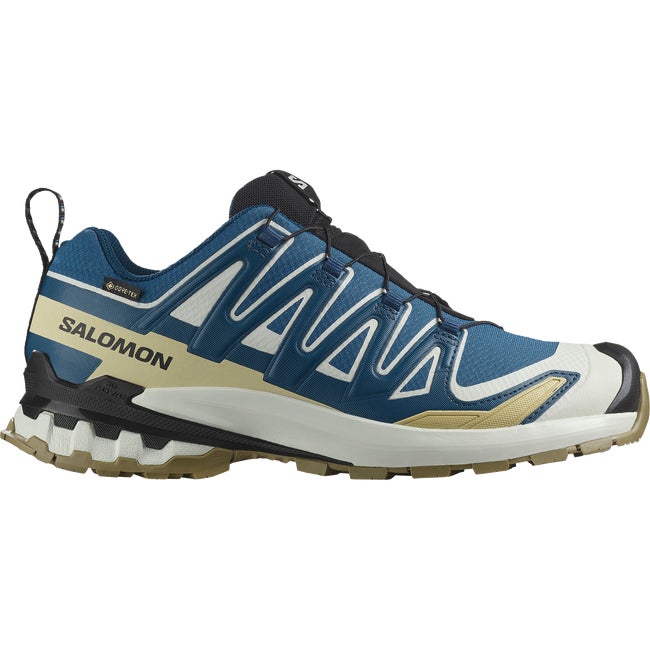 Sneakers og sko Salomon Xa Pro 3D v9 GTX Blå | L47817400, 1