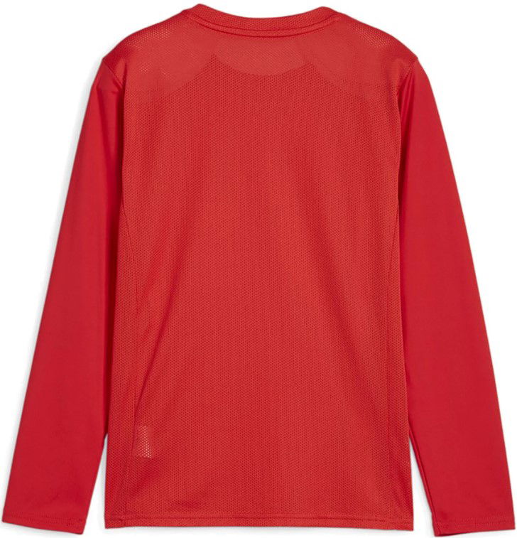 Jersey Puma teamGOAL LS Jersey Jr Long Sleeve T-Shirt Rød | 705751-01, 1