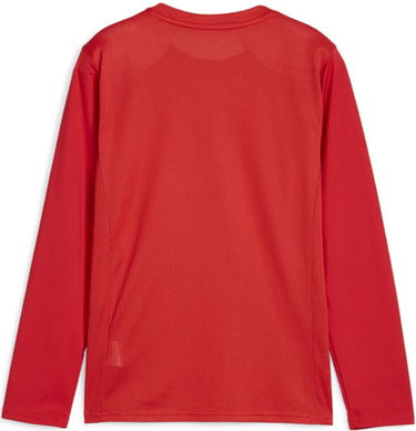 Jersey Puma teamGOAL LS Jersey Jr Long Sleeve T-Shirt Rød | 705751-01, 1