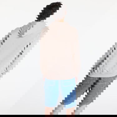 Sweatshirt Vans Vans Blocked Box Pull Over Hoodie Beige | VN000RAR7D61, 3