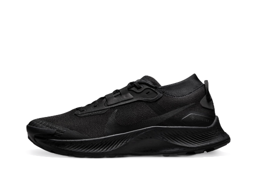 Løbe Nike Pegasus Trail 3 GTX Sort | dc8793-001