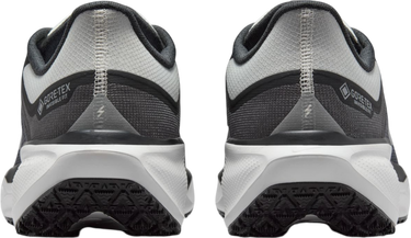 Sneakers og sko Nike Pegasus 41 GORE-TEX Sort | fq1356-002, 1