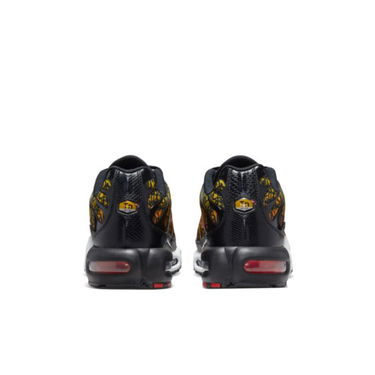 Sneakers og sko Nike Air Max Plus Flerfarvet | DX2665-001, 1
