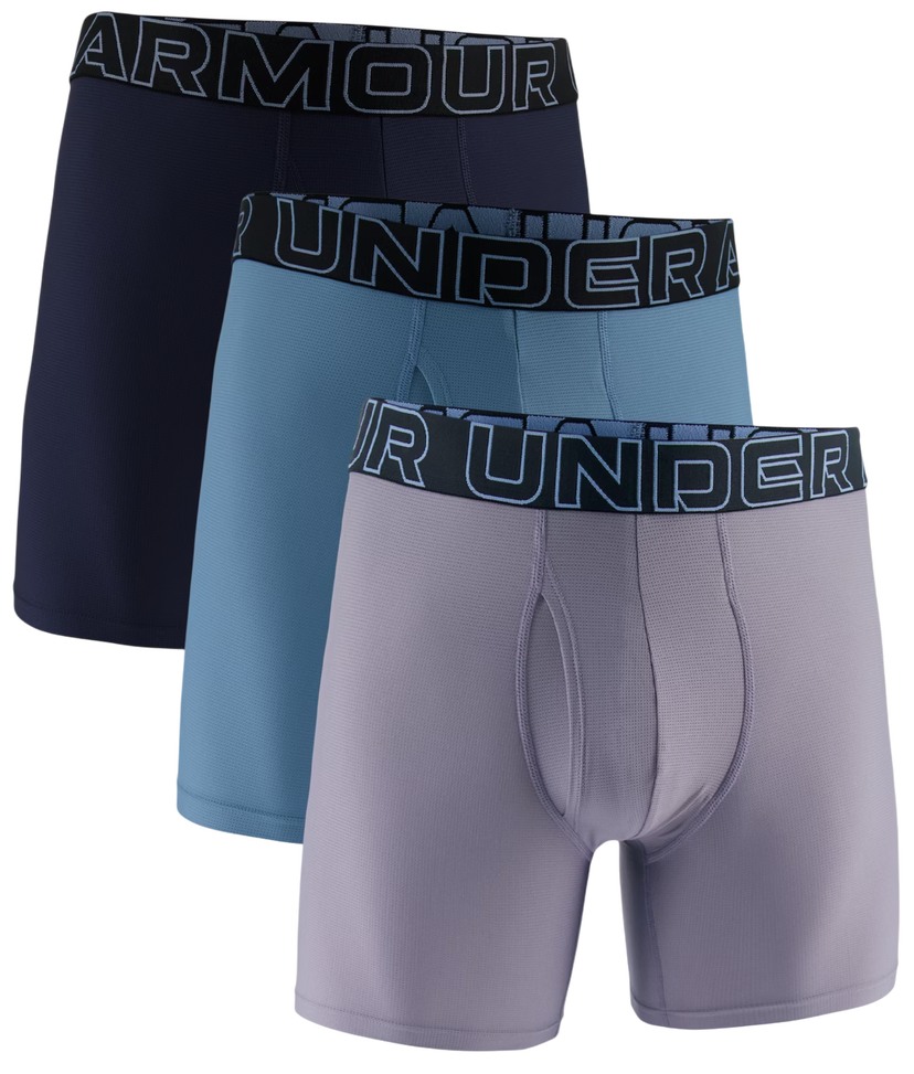 Boksere Under Armour Under Armour SOLID 6in 3-Pack Boxer Shorts Flerfarvet | 1383884-024