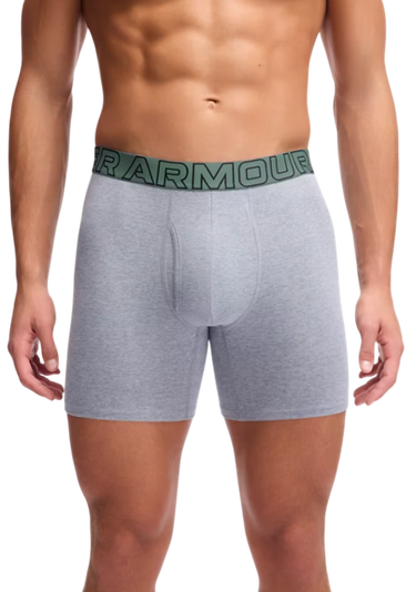 Boksere Under Armour Under Armour Solid 6" Boxer Shorts, 3-Pack Grå | 1383889-035, 3