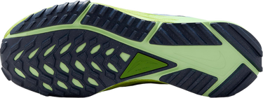 Sneakers og sko Nike Pegasus Trail 4 Flerfarvet | dj6159-403, 1