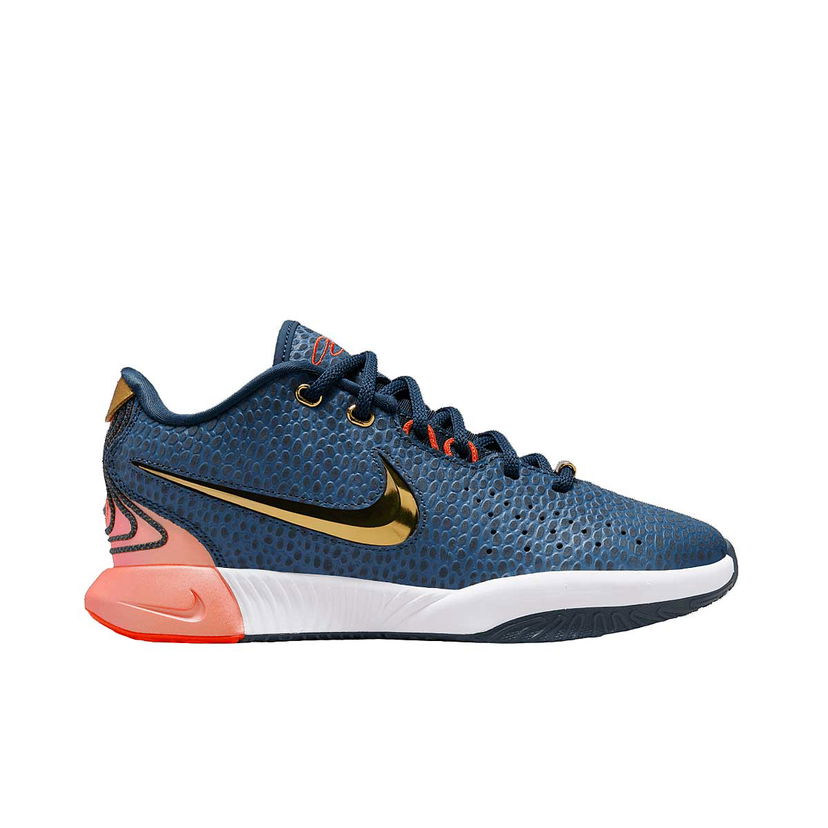 Sneakers og sko Nike LeBron XXI SE Blå | FV3606-400