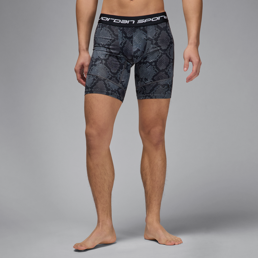 Shorts Jordan Jordan Sport DRI-FIT Shorts Grå | HF9914-010