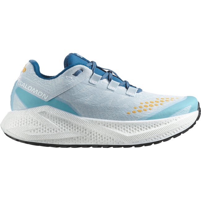 Sneakers og sko Salomon Aero Glide 3 Grvl Blå | L47811800