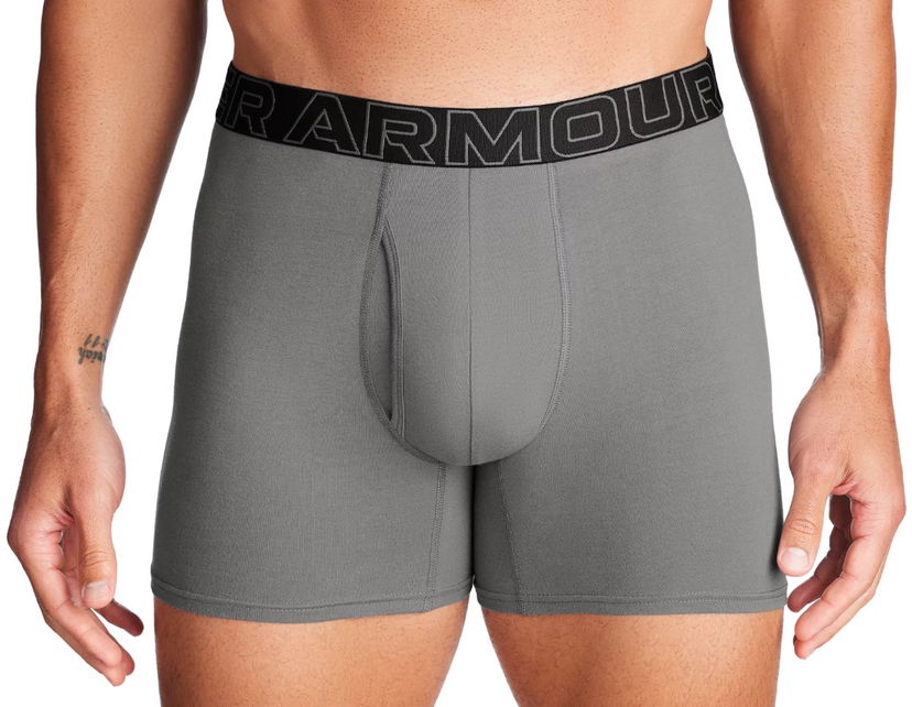Boksere Under Armour Perf Cotton 6in-GRN Grå | 1383889-709