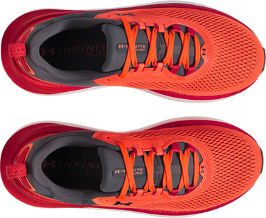 Sneakers og sko Under Armour Under Armour Infinite Elite 2 Rød | 3028169-862, 3