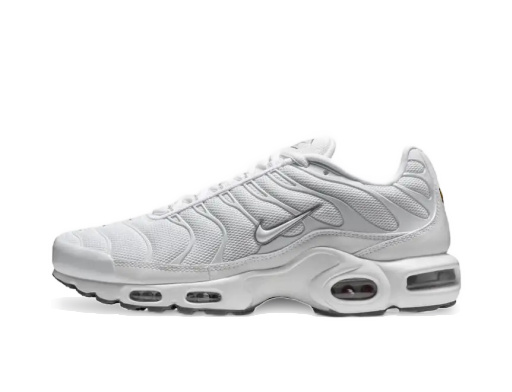 Sneakers og sko Nike Air Max Plus Hvid | 604133-139