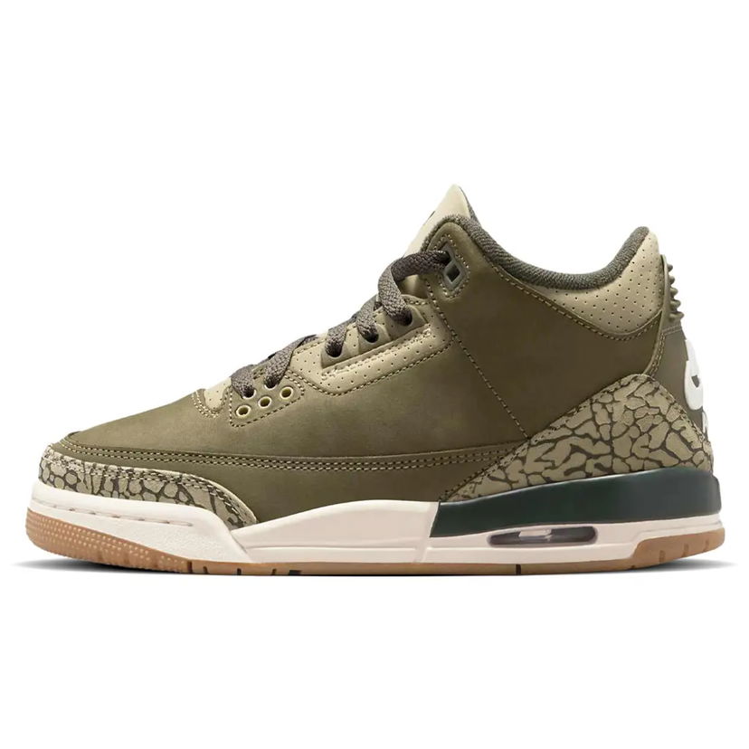 Sneakers og sko Jordan Air Jordan 3 Retro "Family Affair" Grøn | DN3707-202