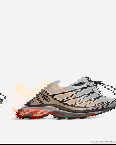 Sneakers og sko Salomon XT-6 Sneakers Hazelnut / Quail / Living Coral Beige | L47444900, 0