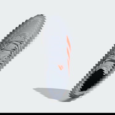 Sneakers og sko adidas Performance Duramo Speed Grå | IF9447, 2