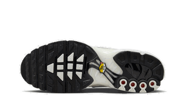 Sneakers og sko Nike Air Max Plus Sail "Pure Platinum" Grå | FN7813-001, 2