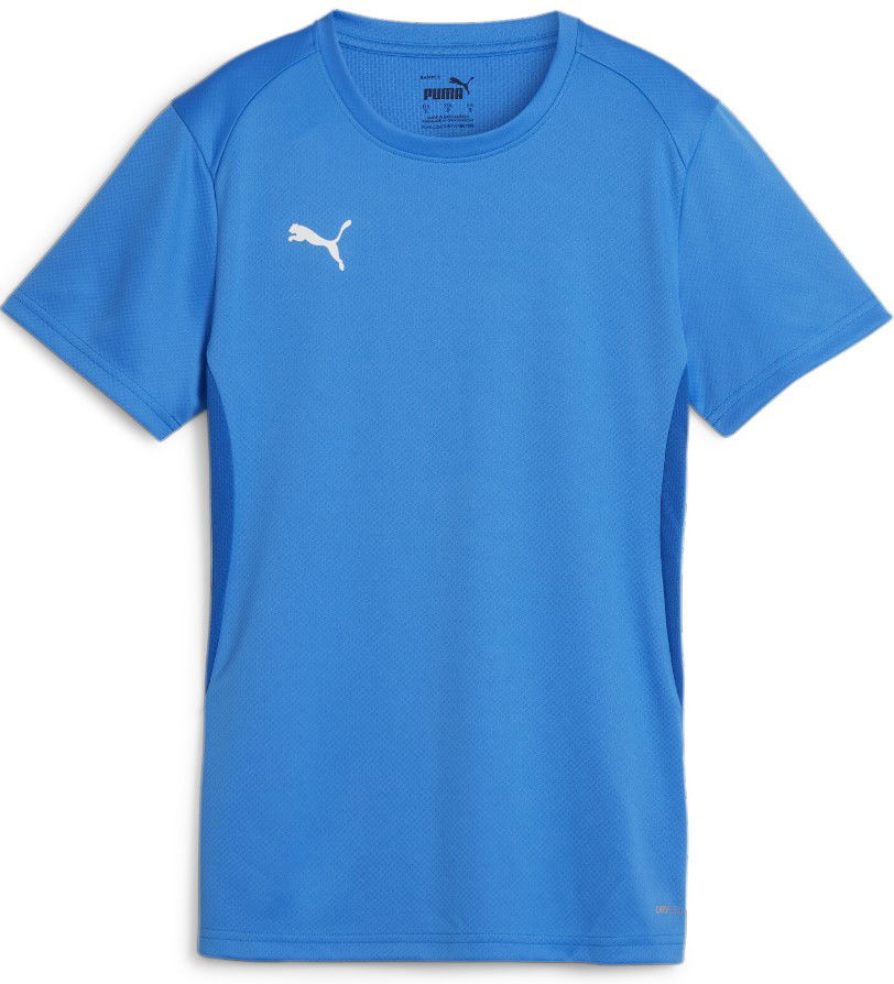 Jersey Puma teamGOAL Jersey W Blå | 658638-02