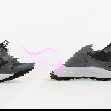 Sneakers og sko Nike ACG Lowcate "Smoke Grey" Grå | DX2256-002, 3