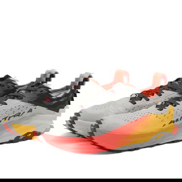 Sneakers og sko Altra Running Olympus 6 Grå | AL0A85NJ-264, 2
