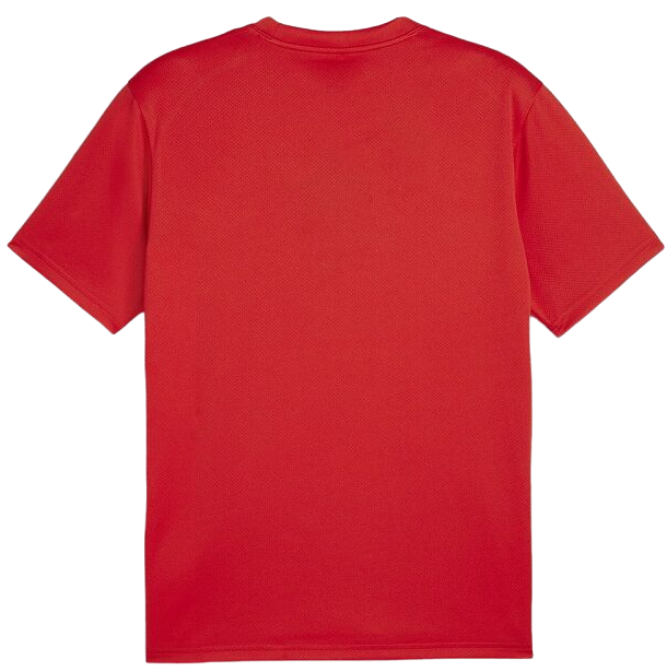 T-shirt Puma teamGOAL T-Shirt Rød | 658636-01, 1