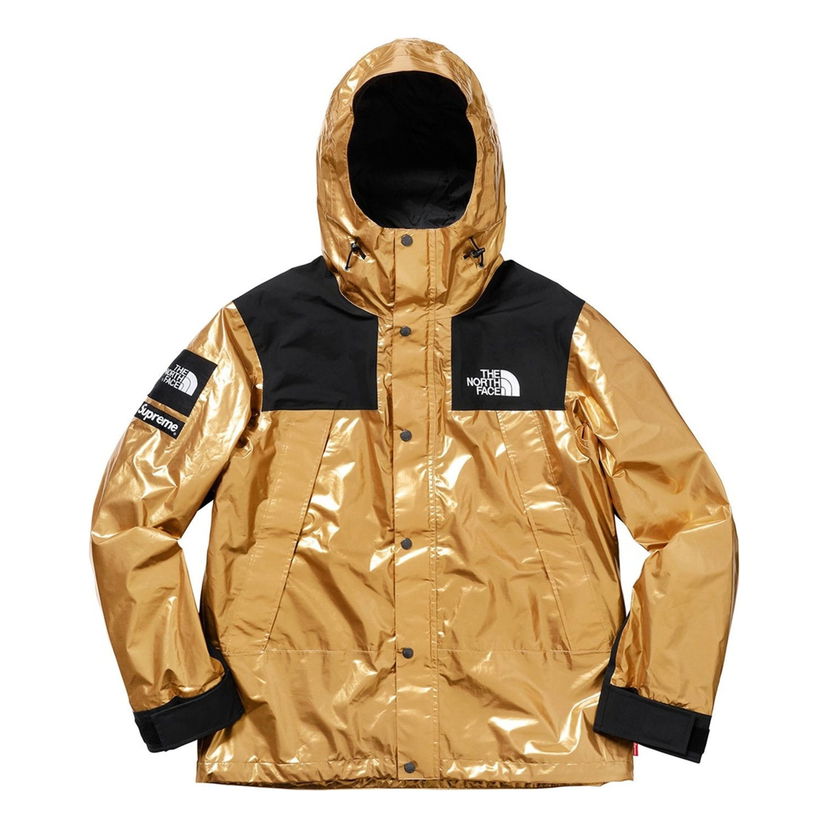 Parka Supreme The North Face Metallic Mountain Parka Metalisk | SUP-SS18-604