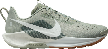 Sneakers og sko Nike Pegasus Trail 5 Grå | dv3864-304, 0