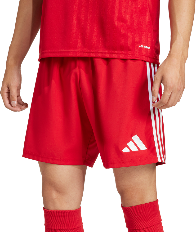 Shorts adidas Originals Tastigo 25 Soccer Shorts Rød | jn7157