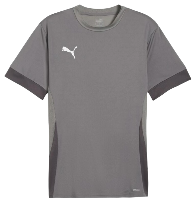 Jersey Puma teamGOAL Matchday Jersey Grå | 705747-13