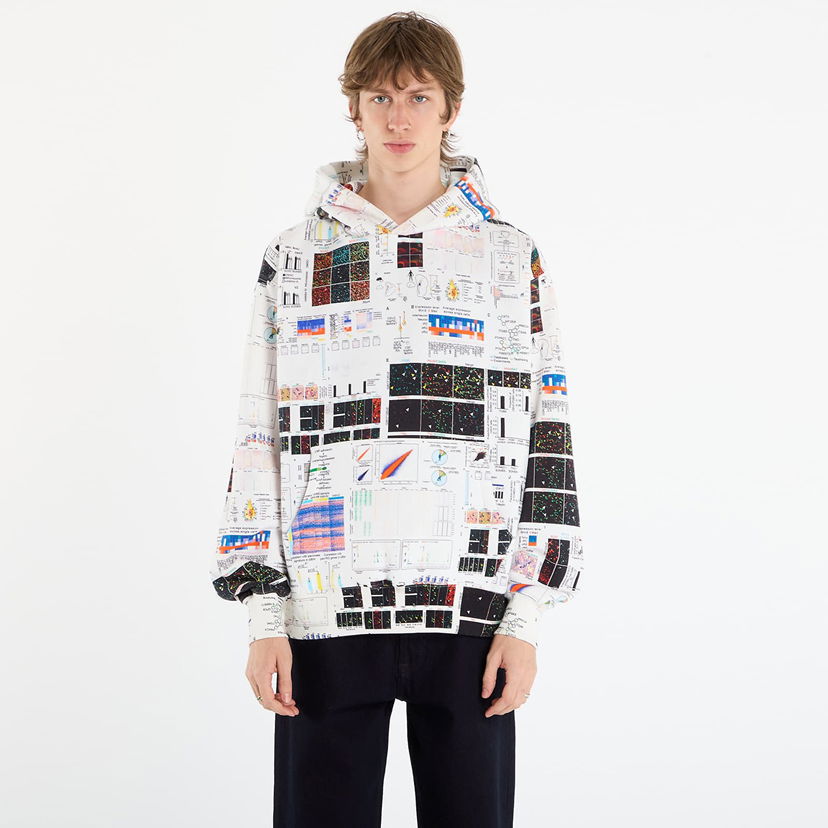 Sweatshirt Pleasures Textbook Hoodie Flerfarvet | P25F023-MULTI
