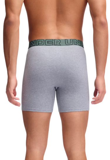 Boksere Under Armour Under Armour Solid 6" Boxer Shorts, 3-Pack Grå | 1383889-035, 2