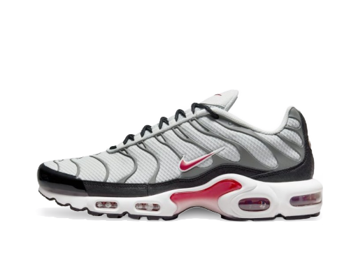 Sneakers og sko Nike Air Max Plus Grå | DM0032-002