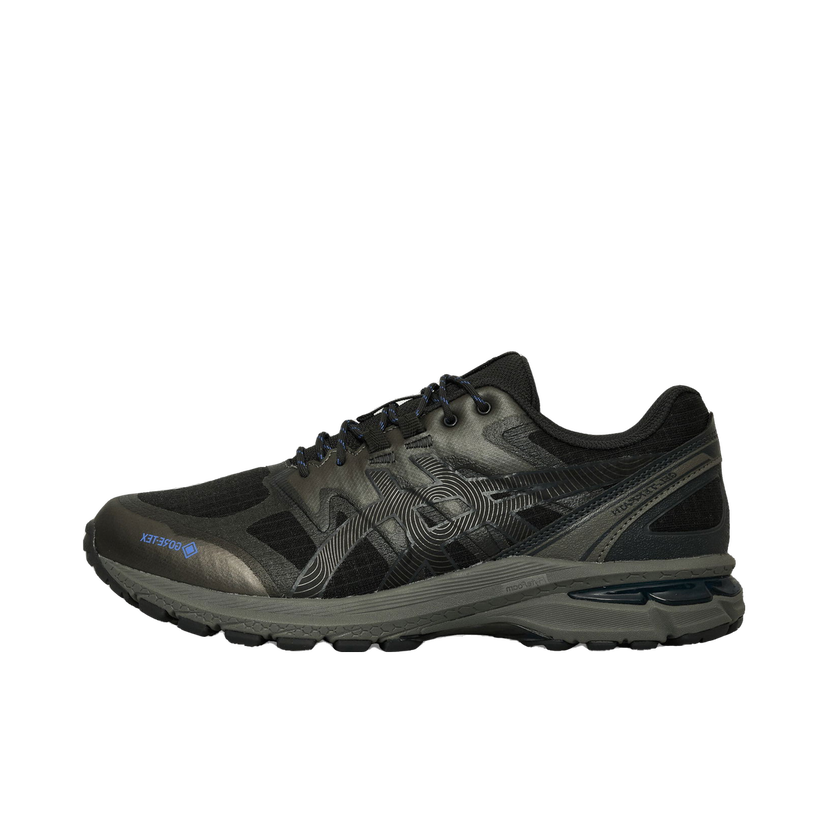 Sneakers og sko Asics GEL-Terrain GTX Sort | 1203A457-020