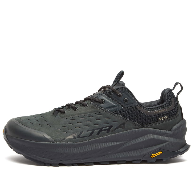 Sneakers og sko Altra Running Olympus 6 Hike Low GTX Grå | AL0A85NM0001M