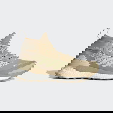 Sneakers og sko adidas Performance Terrex Free Hiker Gore-Tex Beige | GV7515, 0