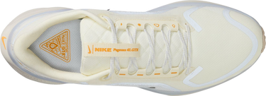 Sneakers og sko Nike Pegasus 41 GORE-TEX Beige | fq1356-102, 2