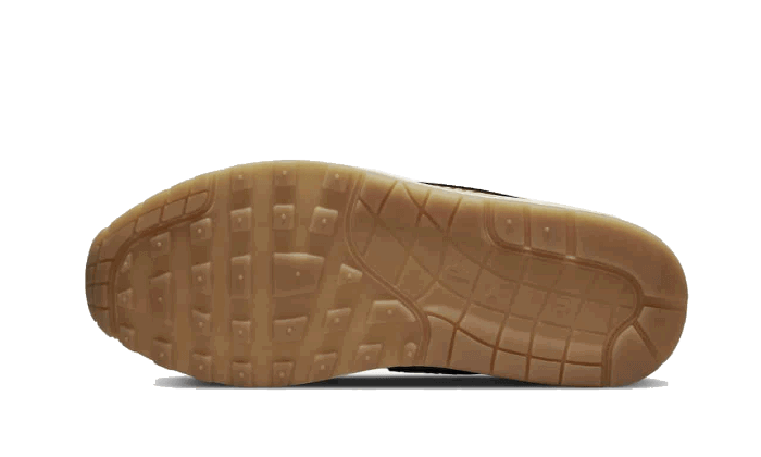Sneakers og sko Nike Air Max 1 Premium ''Air Max Day - Wabi-Sabi'' W Flerfarvet | DQ8656-133, 1