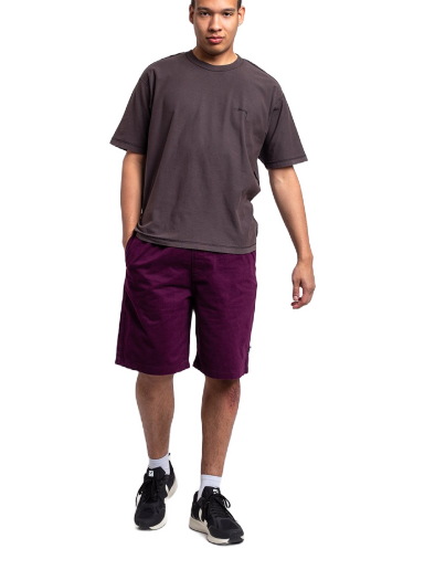Shorts Stüssy Brushed Beach Short Lilla | 112282