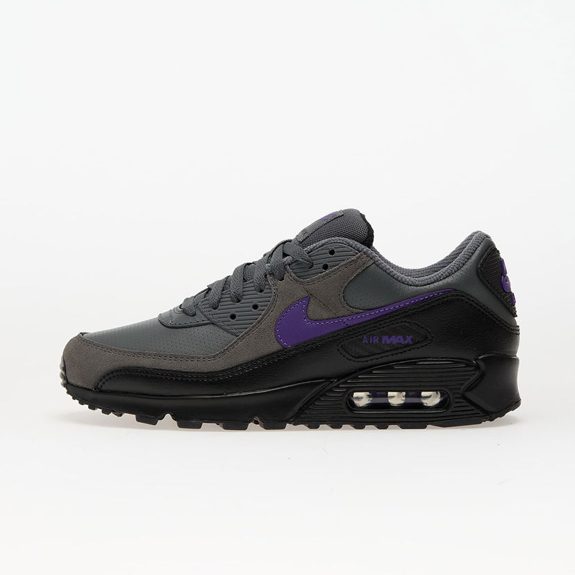 Sneakers og sko Nike Air Max 90 Lilla | IF0670-004