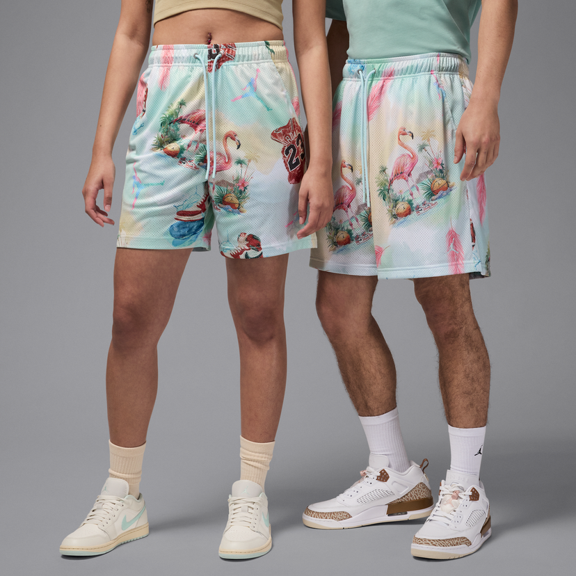 Shorts Jordan Jordan Essentials Printed Mesh Shorts Flerfarvet | IB3012-133