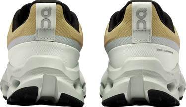 Sneakers og sko On Running Cloudsurfer Trail Waterproof Grå | 3we10292065, 4