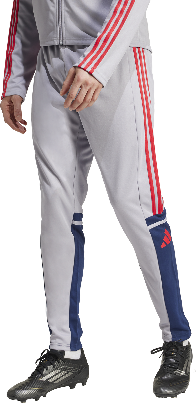 Joggingbukser adidas Performance SQUADRA 25 Training Pants Grå | jp3372